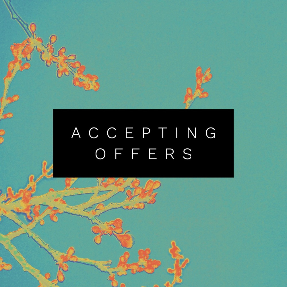 I accept offers